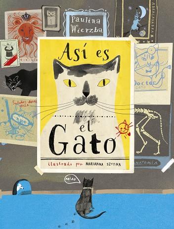 Así es el gato | 9788494992605 | Wierzba, Paulina