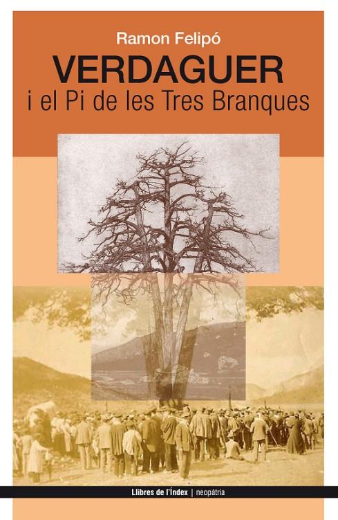 Verdaguer i el Pi de les Tres Branques | 9788494288920 | Ramon Felipó