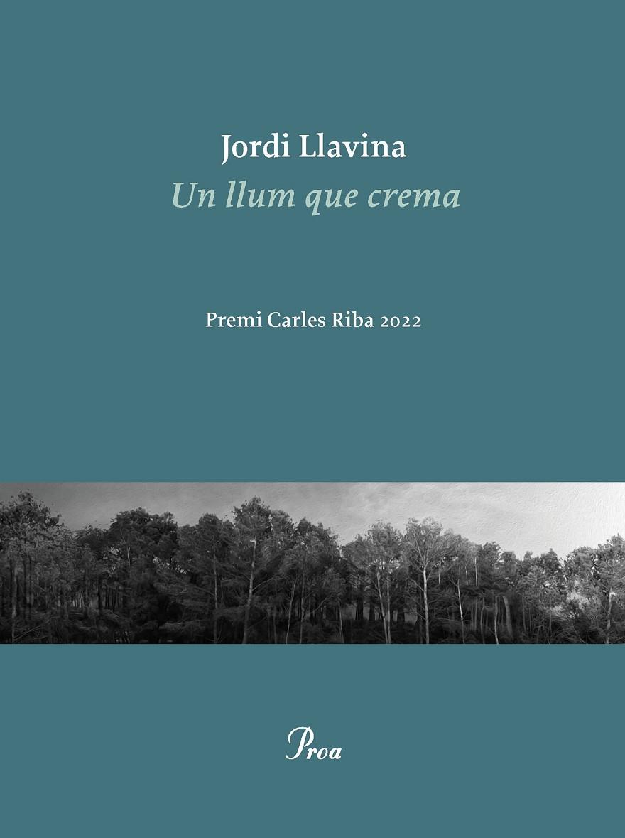 Un llum que crema | 9788475889979 | Llavina, Jordi