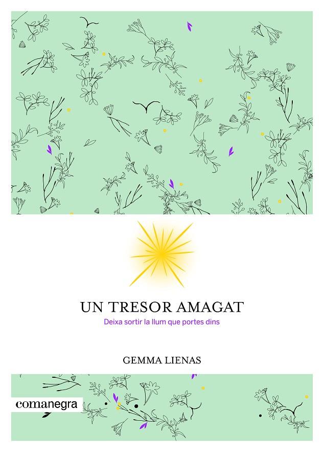 Un tresor amagat | 9788416605347 | Gemma Lienas