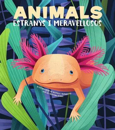 Animals estranys i meravellosos (VVKIDS) | 9788468270685 | Banfi, Cristina