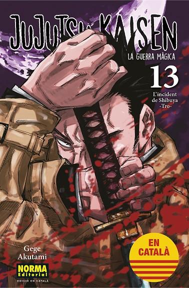 Jujutsu Kaisen 13 | 9788467957679 | Akutami, Gege