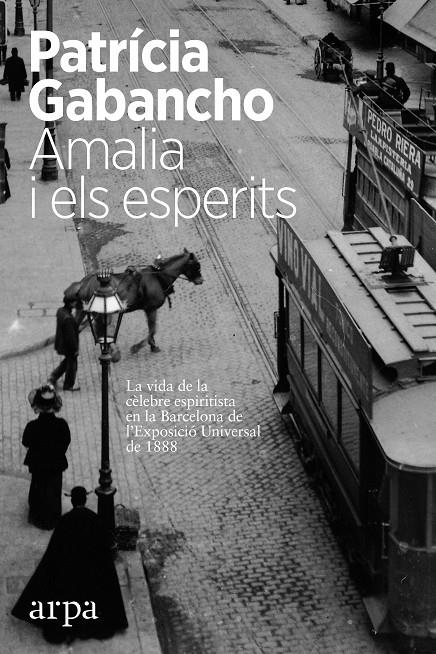 Amalia i els esperits | 9788416601318 | Patrícia Gabancho