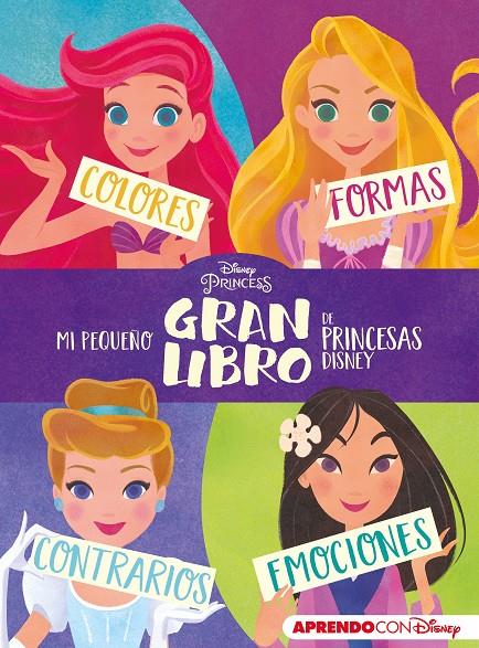 Mi pequeño gran libro de Princesas Disney  | 9788417630836