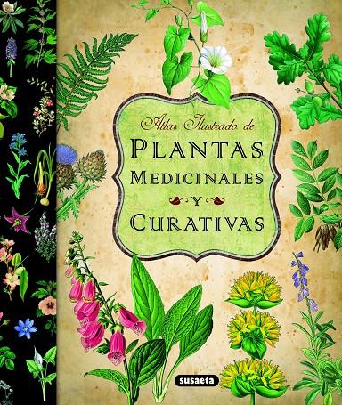 Plantas medicinales y curativas | 9788467712575 | Atlas ilustrado de...