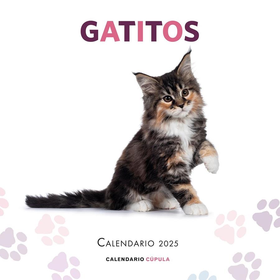 Calendario Gatitos 2025 | 9788448041656 | AA. VV.