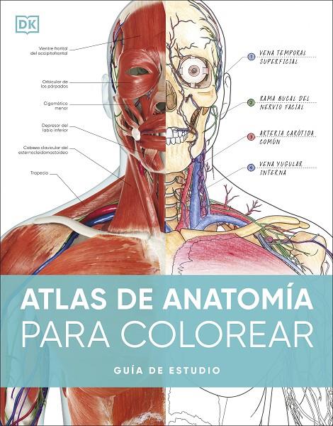 Atlas de anatomía para colorear | 9780241703090 | DK