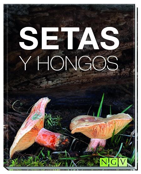 Setas y hongos | 9783869417776 | Kothe, Hans W.