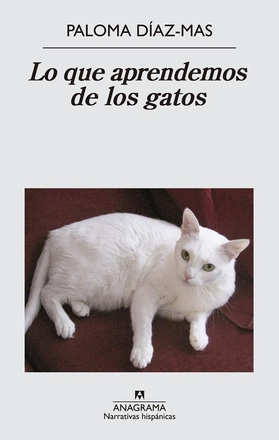 Lo que aprendemos de los gatos | 9788433997807 | Paloma Díaz-Mas