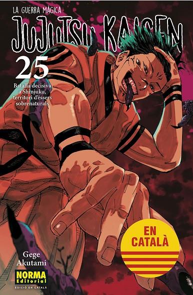 Jujutsu Kaisen 25 - català | 9788467969979 | Akutami, Gege