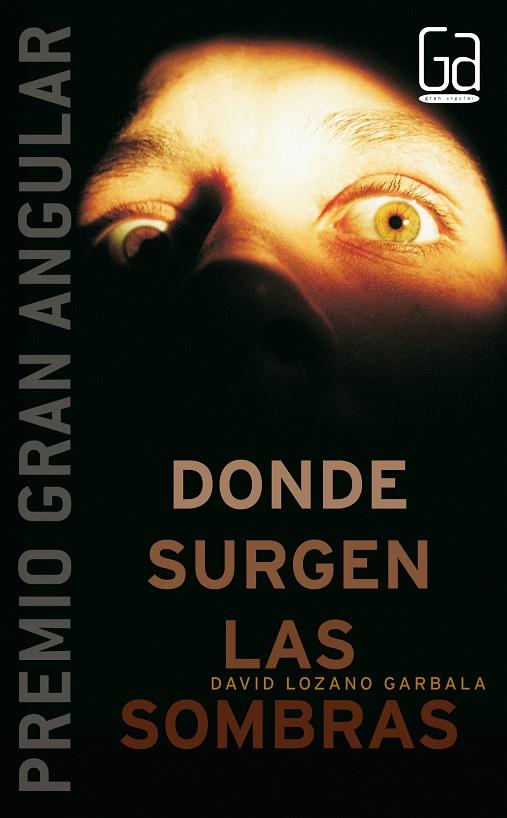 Donde surgen las sombras | 9788467510270 | David Lozano Garbala